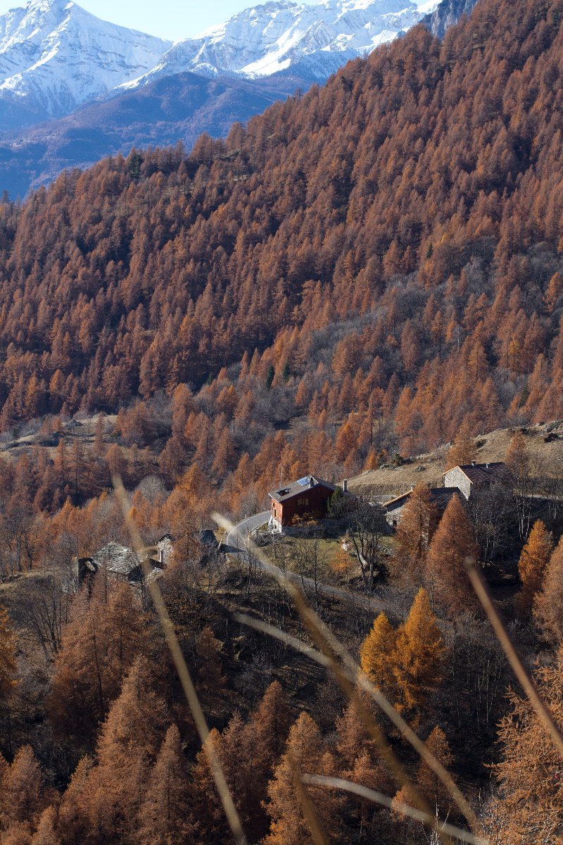 Paysage   Refugio Levi